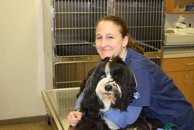 Larissa and Ozzie Bearded Collie patient